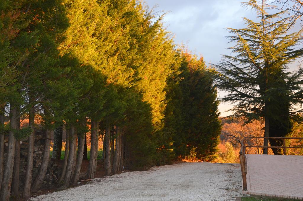 Agriturismo La Collina Pitigliano Ngoại thất bức ảnh