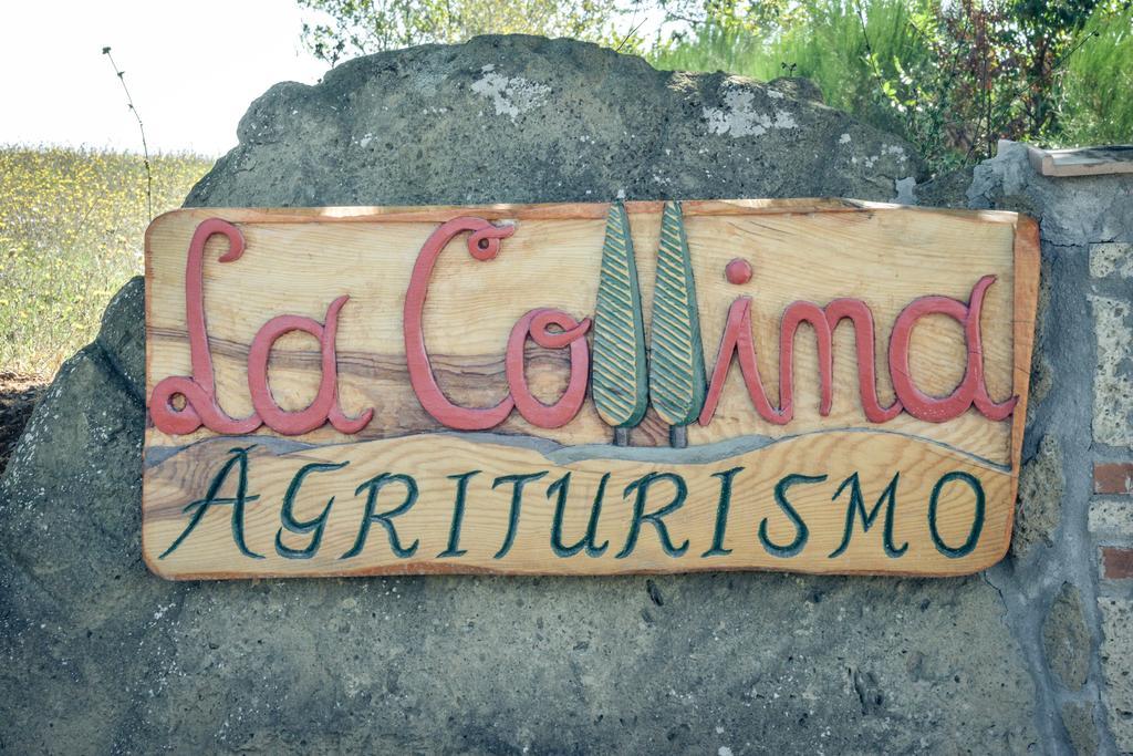 Agriturismo La Collina Pitigliano Ngoại thất bức ảnh